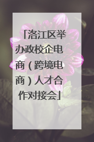洛江区举办政校企电商（跨境电商）人才合作对接会