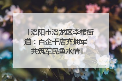洛阳市洛龙区李楼街道：百企千店齐拥军 共筑军民鱼水情
