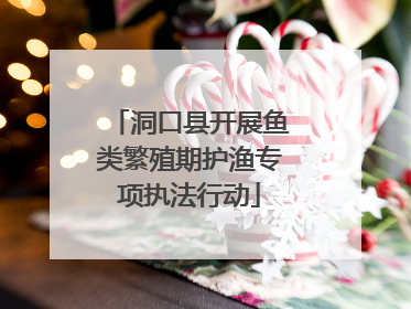 洞口县开展鱼类繁殖期护渔专项执法行动