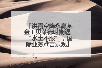 洪霞空降永赢基金！贝莱德时期遇“水土不服”，国际业务难言乐观