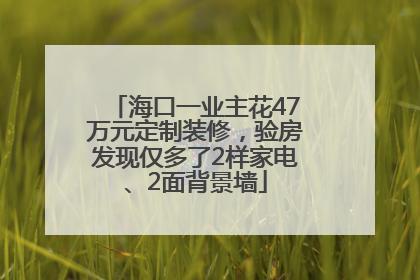 海口一业主花47万元定制装修，验房发现仅多了2样家电、2面背景墙