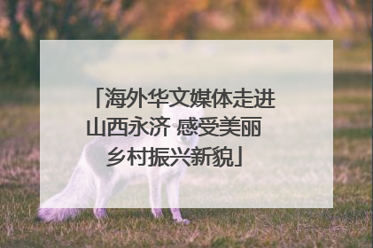 海外华文媒体走进山西永济 感受美丽乡村振兴新貌