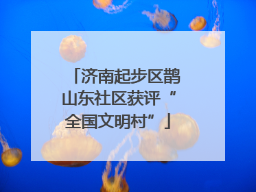 济南起步区鹊山东社区获评“全国文明村”