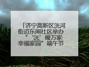 济宁高新区洸河街道东闸社区举办“‘洸’暖万家·幸福家园”端午节幸福集市活动
