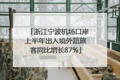浙江宁波机场口岸上半年出入境外籍旅客同比增长87%