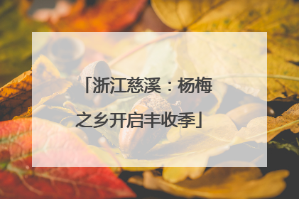 浙江慈溪：杨梅之乡开启丰收季
