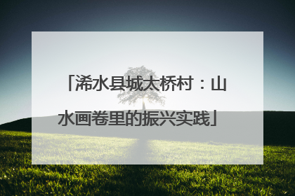 浠水县城太桥村：山水画卷里的振兴实践
