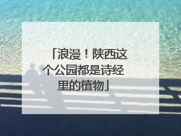 浪漫！陕西这个公园都是诗经里的植物