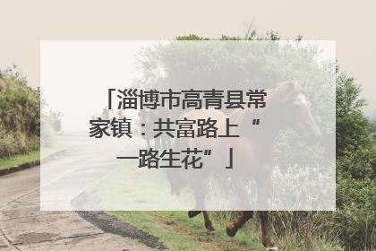 淄博市高青县常家镇：共富路上“一路生花”