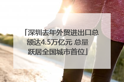 深圳去年外贸进出口总额达4.5万亿元 总量跃居全国城市首位