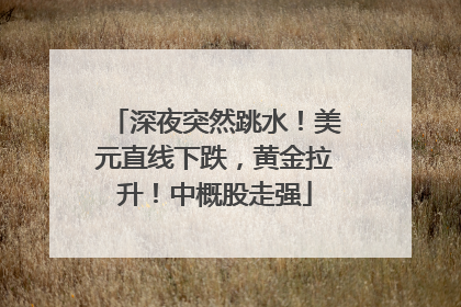 深夜突然跳水！美元直线下跌，黄金拉升！中概股走强