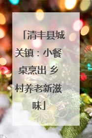 清丰县城关镇：小餐桌烹出 乡村养老新滋味