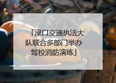渌口交通执法大队联合多部门举办驾校消防演练