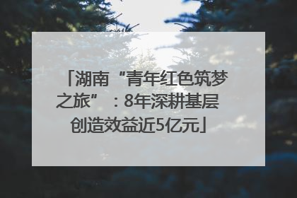 湖南“青年红色筑梦之旅”：8年深耕基层创造效益近5亿元