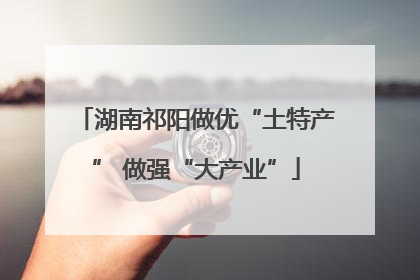 湖南祁阳做优“土特产” 做强“大产业”