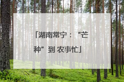 湖南常宁：“芒种”到 农事忙