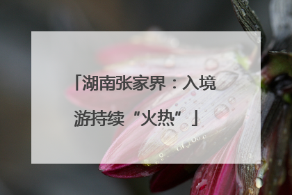 湖南张家界：入境游持续“火热”