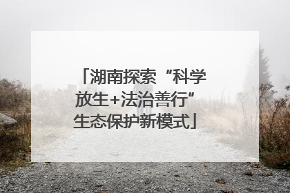 湖南探索“科学放生+法治善行”生态保护新模式