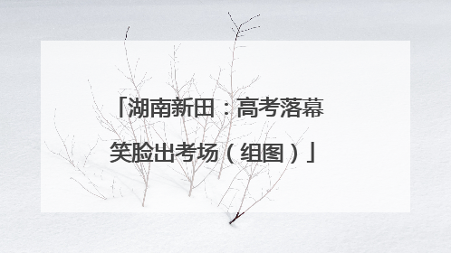 湖南新田：高考落幕 笑脸出考场（组图）