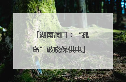 湖南洞口：“孤岛”破晓保供电