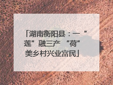 湖南衡阳县：一“莲”融三产 “荷”美乡村兴业富民