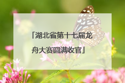 湖北省第十七届龙舟大赛圆满收官