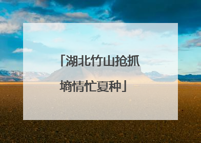 湖北竹山抢抓墒情忙夏种