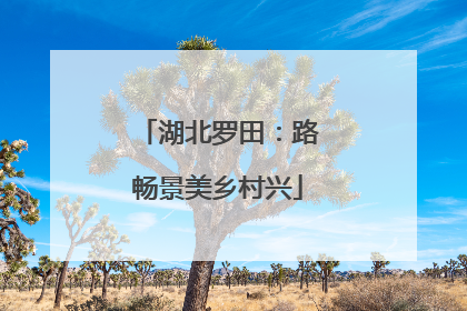 湖北罗田：路畅景美乡村兴