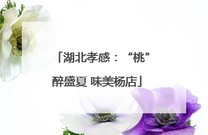 湖北孝感：“桃”醉盛夏 味美杨店