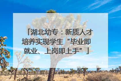 湖北幼专：新质人才培养实现学生“毕业即就业、上岗即上手”