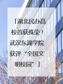 湖北民办高校首获殊荣！武汉东湖学院获评“全国文明校园”