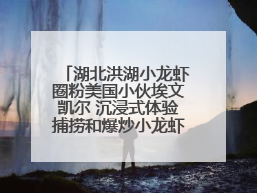湖北洪湖小龙虾圈粉美国小伙埃文凯尔 沉浸式体验捕捞和爆炒小龙虾 最爱麻辣味
