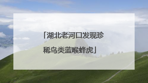 湖北老河口发现珍稀鸟类蓝喉蜂虎