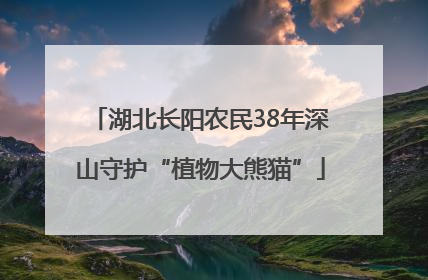 湖北长阳农民38年深山守护“植物大熊猫”