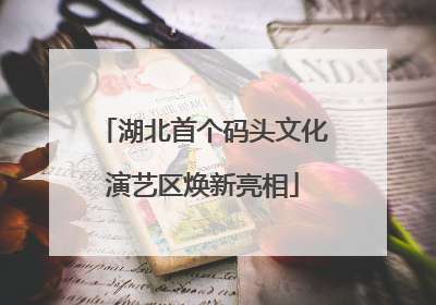 湖北首个码头文化演艺区焕新亮相