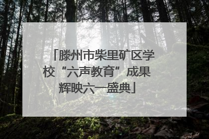 滕州市柴里矿区学校“六声教育”成果辉映六一盛典