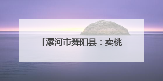 漯河市舞阳县：卖桃男孩背后的暖心故事