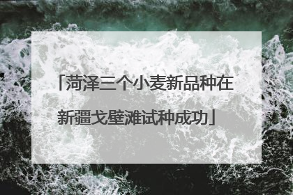 菏泽三个小麦新品种在新疆戈壁滩试种成功