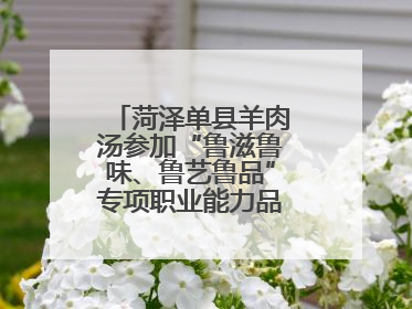 菏泽单县羊肉汤参加“鲁滋鲁味、鲁艺鲁品”专项职业能力品牌展示活动