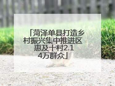 菏泽单县打造乡村振兴集中推进区 惠及十村2.14万群众