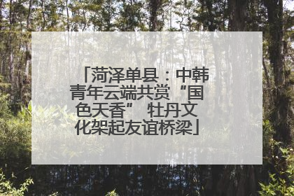 菏泽单县：中韩青年云端共赏“国色天香” 牡丹文化架起友谊桥梁