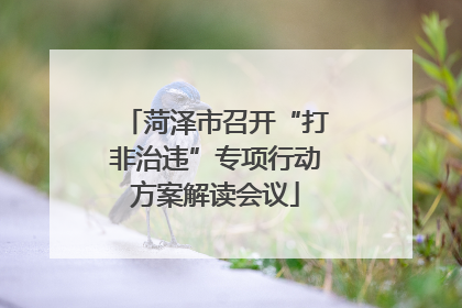 菏泽市召开“打非治违”专项行动方案解读会议