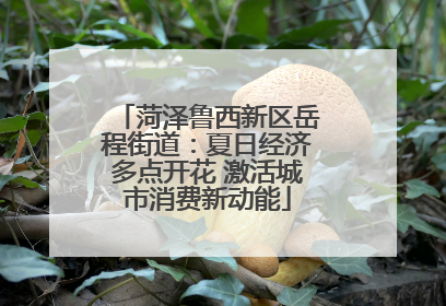 菏泽鲁西新区岳程街道：夏日经济多点开花 激活城市消费新动能
