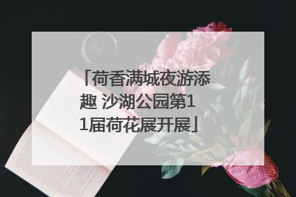 荷香满城夜游添趣 沙湖公园第11届荷花展开展