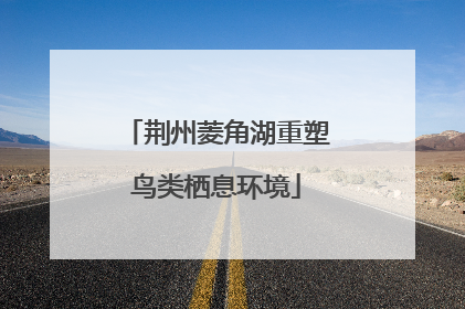 荆州菱角湖重塑鸟类栖息环境