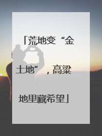 荒地变“金土地”，高粱地里藏希望