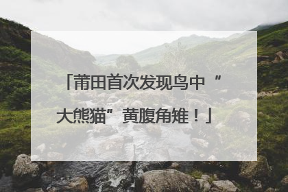 莆田首次发现鸟中“大熊猫”黄腹角雉！