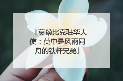 莫桑比克驻华大使：莫中是风雨同舟的铁杆兄弟