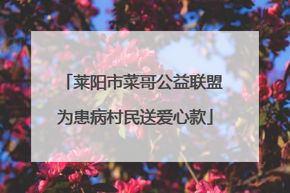 莱阳市菜哥公益联盟为患病村民送爱心款
