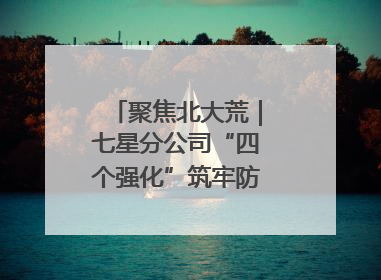聚焦北大荒｜七星分公司“四个强化”筑牢防汛减灾屏障